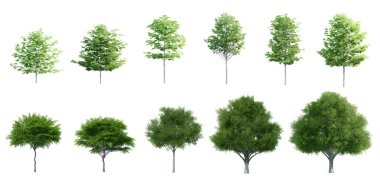 Beyaz arkaplanda izole edilmiş Ağaçlar kümesi