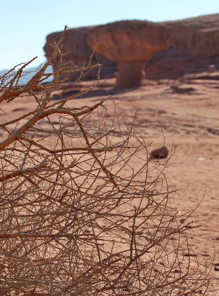 Timna Vadisi, Arava Çölü 'nün güneyinde yer almaktadır. Fotoğraf, çeşitli açık renk ve gölgelerle dikkat çeker.
