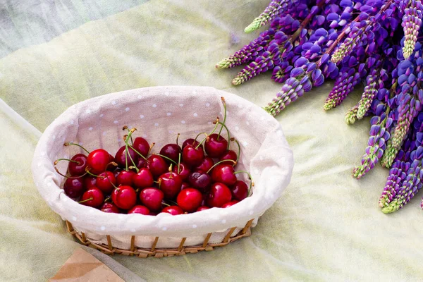 Yaz - çayırda piknik. Tatlı kiraz, kahve, içkili kupa, çiçekler, lupinler, kruvasanlar, çörekler, tatlı, şapka, sepet.