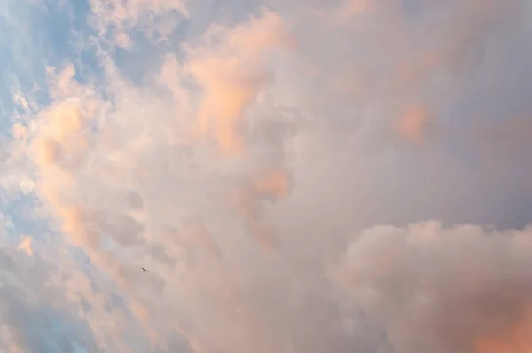 Mavi gökyüzündeki altın bulutlar. Resim gibi, renkli günbatımı. Güneş ışınları kabarık bulutlar üzerine çekilir. Atmosferik arkaplan.