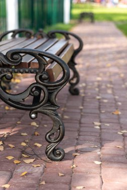 Sokakta park bankında. Eğlenmek için metal ve ahşaptan yapılmış bir nesne. Sonbahar kentsel doğası.