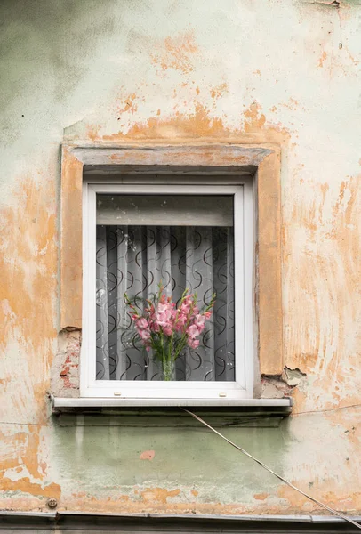 Binanın ön cephesinde beyaz bir pencere ve pencere kenarında bir çiçek var. Camın arkasındaki pembe gladiolus gri perdelerin arka planına karşı.. 