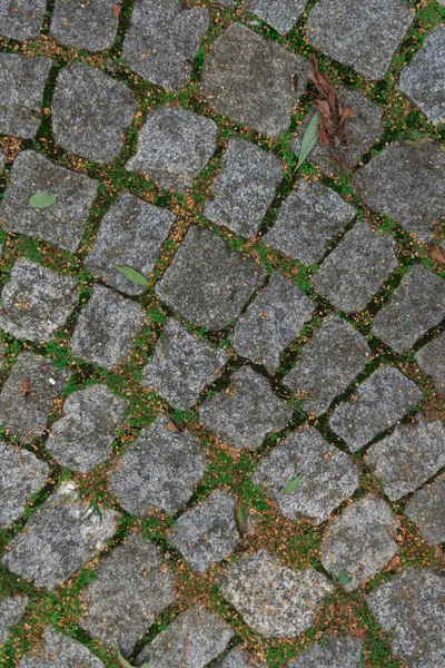 Pozadí Šedé Dlážděné Chodníky Trávou Rostoucí Mezi Kameny Struktura Kamenného — Stock fotografie