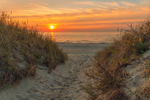 Östersjön Solnedgångens Strålar Sandstrand Med Liten Vegetation Romantiskt Sjölandskap — Stockfoto