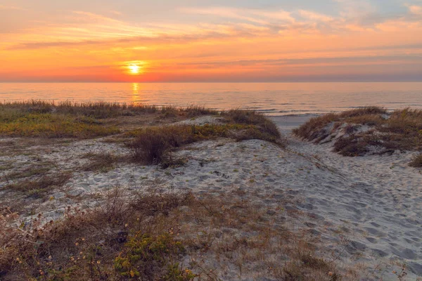 Batan akşam güneşinin ışınlarında Baltık Denizi. Küçük bitkileri olan kumsal. Romantik deniz manzarası.