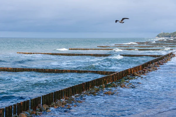 Blue waves rush to the shore breaking on the breakwaters. A grey gull flies on in low-level flight over the water.
