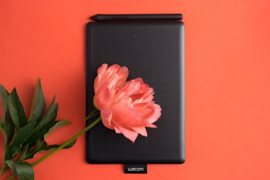 Kirov, Rusya - 26 Haziran 2020; Wacom grafik tableti mercan şakayığı ile kırmızı zemin üzerinde. Yazı için boşluk kopyala, seçici odak