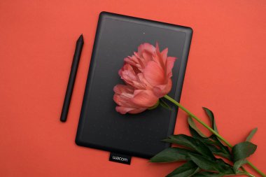 Kirov, Rusya - 26 Haziran 2020; Wacom grafik tableti kırmızı arka planda mercan şakayığı ile. Yazı için alanı kopyala, seçici odak noktası