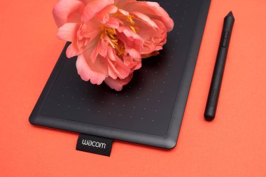 Kirov, Rusya - 26 Haziran 2020; Wacom grafik tableti kırmızı arka planda mercan şakayığı ile birlikte.