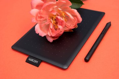 Kirov, Rusya - 26 Haziran 2020; Wacom grafik tableti kırmızı arka planda mercan şakayığı ile birlikte.