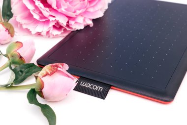 Kirov, Rusya - 27 Haziran 2020; Beyaz arka planda pembe şakayıklı Wacom grafik tableti. Uzayı metin için kopyala, sığ alan derinliği olan seçici odak