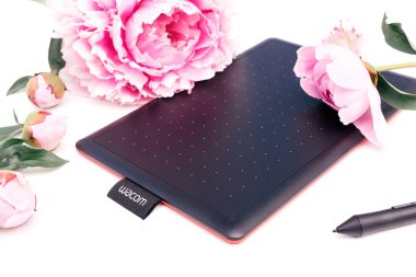 Kirov, Rusya - 27 Haziran 2020; Wacom grafik tableti ve beyaz arka planda pembe şakayıklı bir kalem. Yazı için alanı kopyala, sığ alan derinliğine sahip seçici odak