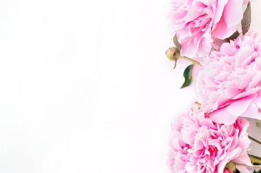 Pembe şakayık çerçevesi beyaz bir arkaplan üzerine kapanır. Tatil kartları için şablon. Uzayı kopyala, seçici alan derinliği ile seçici odaklan