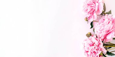 Pembe şakayık çerçevesi beyaz bir arkaplan üzerine kapanır. Tatil kartları için şablon. Uzayı kopyala, seçici alan derinliği ile seçici odaklan