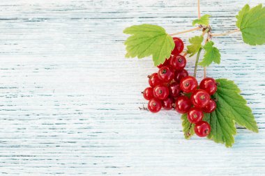 Beyaz ahşap arka planda yeşil yapraklı üzümlü frenk üzümü kavramı ve vitamin meyvesi kavramı. Düz konum, üst görünüm, metin için boşluk kopyala