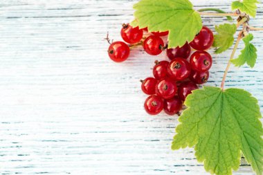 Beyaz ahşap arka planda yeşil yapraklı üzümlü frenk üzümü kavramı ve vitamin meyvesi kavramı. Düz konum, üst görünüm, metin için boşluk kopyala