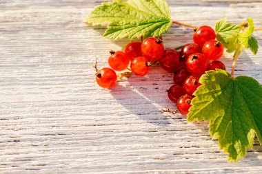 Beyaz ahşap arka planda yeşil yapraklı üzümlü kırmızı frenk üzümü kavramı ve vitamin meyvesi kavramı. Düz konum, üst görünüm, seçici odak, metin için kopyalama alanı