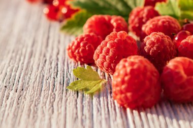 Ahududu ve yapraklı bulanık kırmızı frenk üzümü ve beyaz ahşap arka planda. Yaz konsepti ve vitamin meyvesi konsepti. Sığ alan derinliğine sahip seçici odak, metin için uzayı kopyala