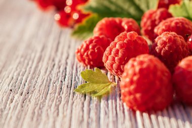 Ahududu ve yapraklı bulanık kırmızı frenk üzümü ve beyaz ahşap arka planda. Yaz konsepti ve vitamin meyvesi konsepti. Sığ alan derinliğine sahip seçici odak, metin için uzayı kopyala