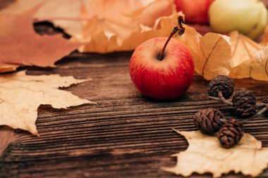 Sarı akçaağaç yapraklı koyu ahşap arka planda kırmızı elma. Hasat, sonbahar konsepti, şükran günü konsepti. Boşluğu kopyala.