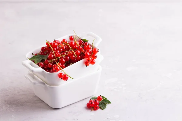 Ripe red currant in white bowl — Stock Photo, Image