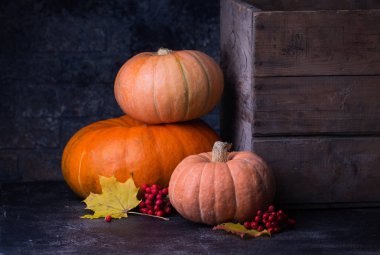 Kabaklar ve yaprakları ile natürmort hasat