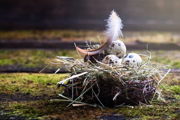 Happy Easter. Congratulatory easter decoration. Easter Eggs in nest. — Stock Photo, Image