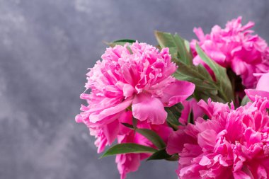 Gri masaya güzel pembe peony çiçek