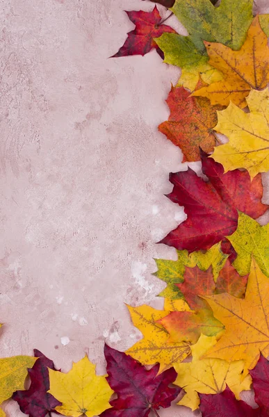 Vintage Autumn border from fallen leaves on grey marble background. Thanksgiving day concept.