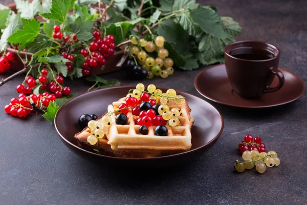 Plate of belgian waffles with currant berries on dark gray background. From top view — Stock Photo, Image