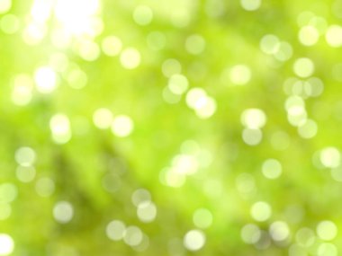 Ufuk benzersiz Soyut Yeşil Bokeh şenlikli ışıklar