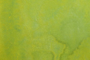 Soyut el boyalı sarı yeşil suluboya splash beyaz kağıt arka planda, yaratıcı tasarım şablonları