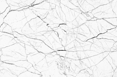 Beyaz Soyut Mermer Arkaplan Yüzeyi