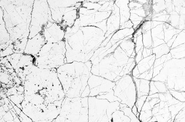 Beyaz Soyut Mermer Arkaplan Yüzeyi