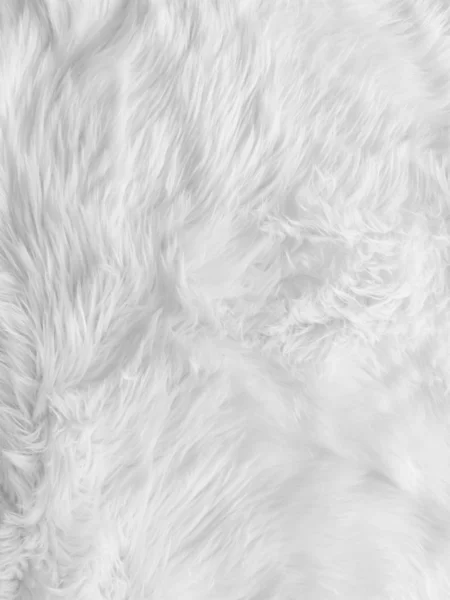 白い柔らかい綿の羊のウールふわふわの毛皮のカーペットの質感の背景 — ストック写真