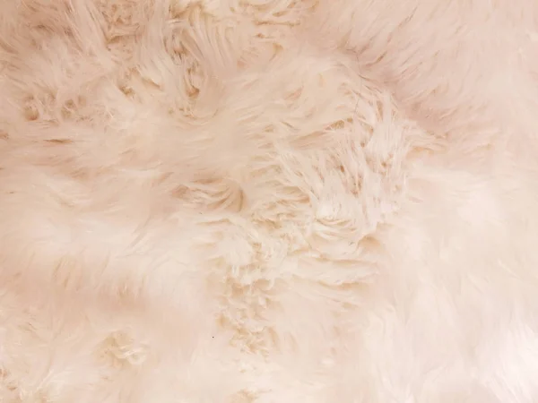 Soft cotton sheep wool fluffy fur carpet texture background — Stock Photo, Image