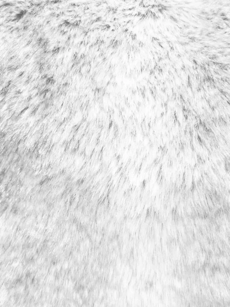 Witte zachte katoen schapenwol pluizig bont tapijt textuur backgroun — Stockfoto