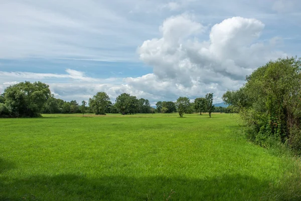 Naturschutzgebiet Elsass Der Nähe Von Selestat Frankreich — Stockfoto