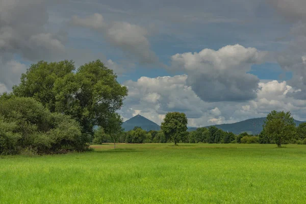 Naturschutzgebiet Elsass Der Nähe Von Selestat Frankreich — Stockfoto