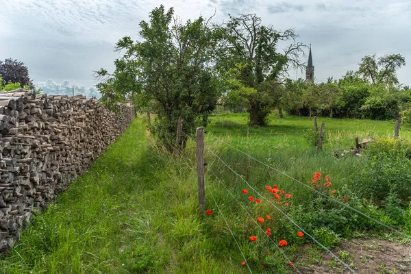 Vecchio Frutteto Primavera Villaggio Francia — Foto Stock