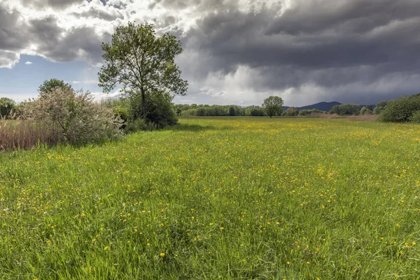 Grüne Wiesen Und Bäume Der Französischen Landschaft — Stockfoto