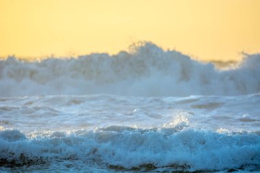 Fas kıyılarında okyanus dalgası