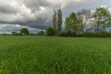 Baharda ağaçlarla ve bulutlu gökyüzüyle yeşil çayır