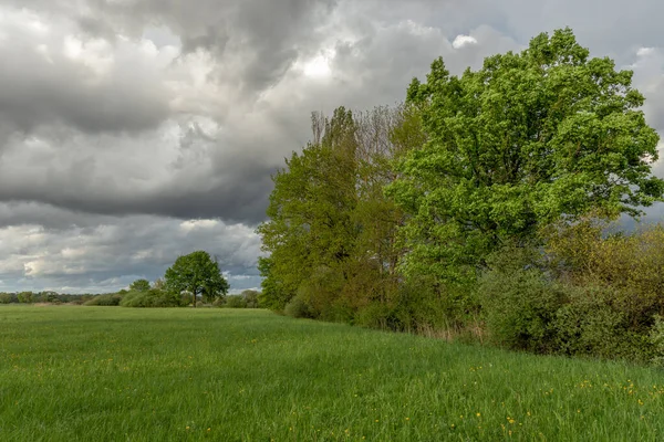 Grüne Wiese Mit Bäumen Und Bewölktem Regenhimmel Frühling — Stockfoto