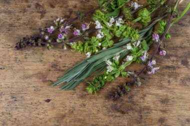 Mutfaktaki eski ahşap arka planda taze aromatik otlar.