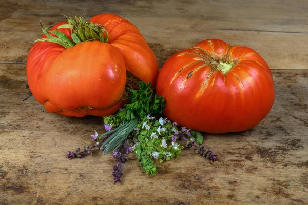 Antigua Variedad Tomates Hierbas Aromáticas Sobre Fondo Madera Vieja Una — Foto de Stock