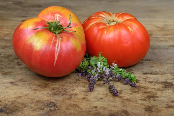 Antigua Variedad Tomates Hierbas Aromáticas Sobre Fondo Madera Vieja Una — Foto de Stock