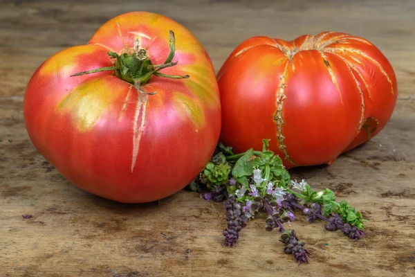 Antigua Variedad Tomates Hierbas Aromáticas Sobre Fondo Madera Vieja Una — Foto de Stock