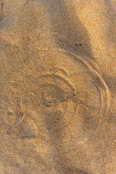 Στρογγυλή Ίχνη Χόρτου Στην Άμμο Στη Γαλλία — Φωτογραφία Αρχείου