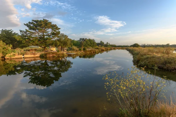 Basin near salt production in the salt marshes in France